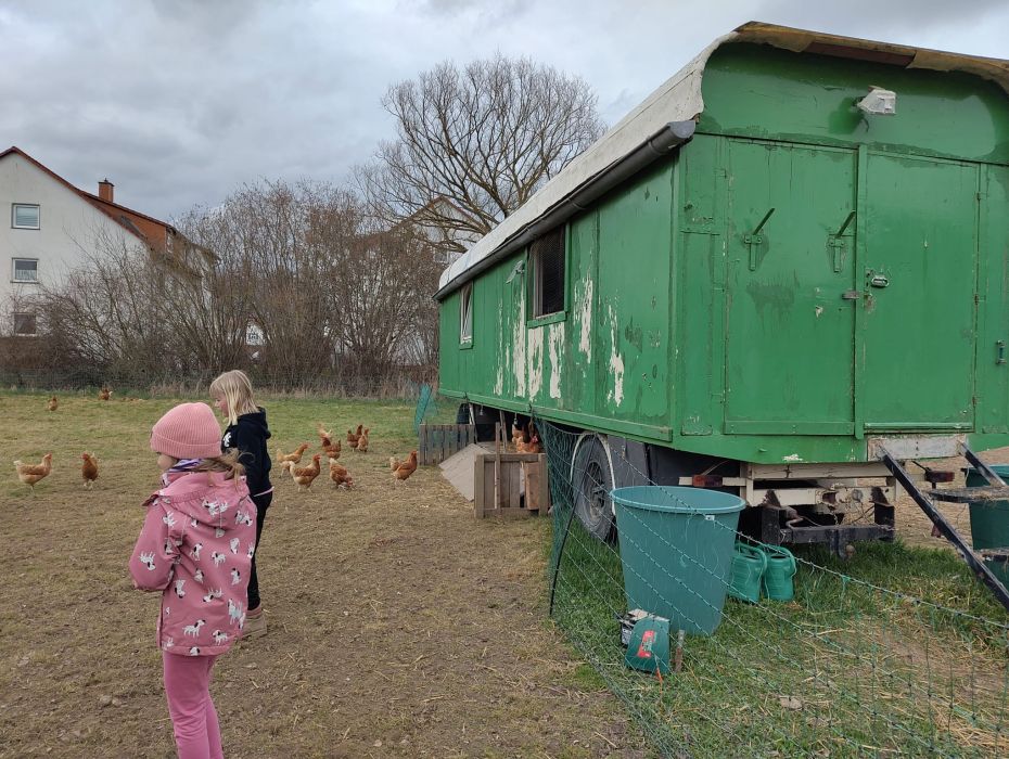 Hühnermobil 2 web