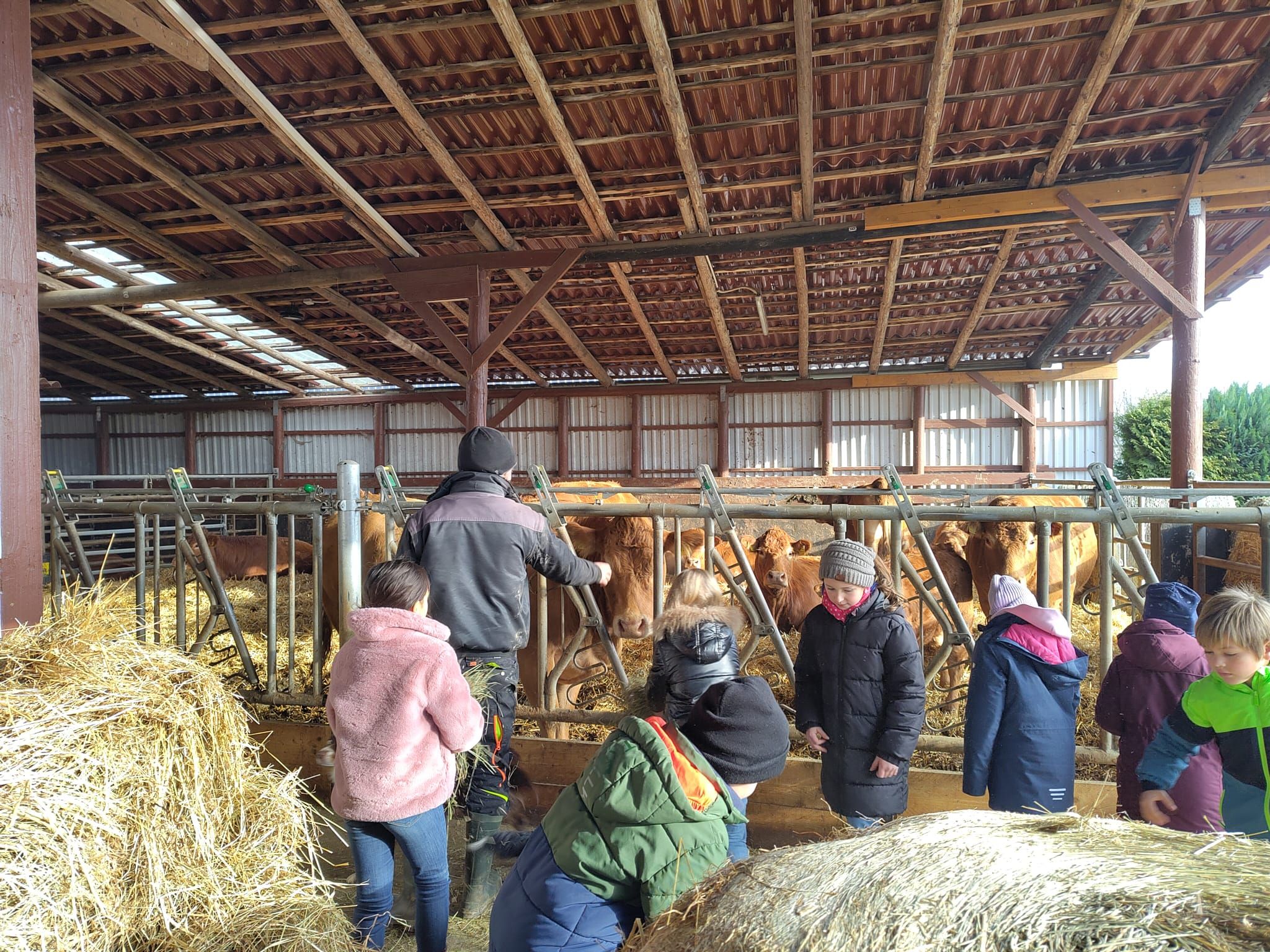 WhatsApp Image 2025 11 28 at 10.19.02