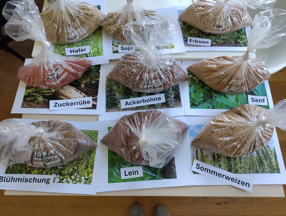 WhatsApp Image 2026 04 24 at 12.47.04 web