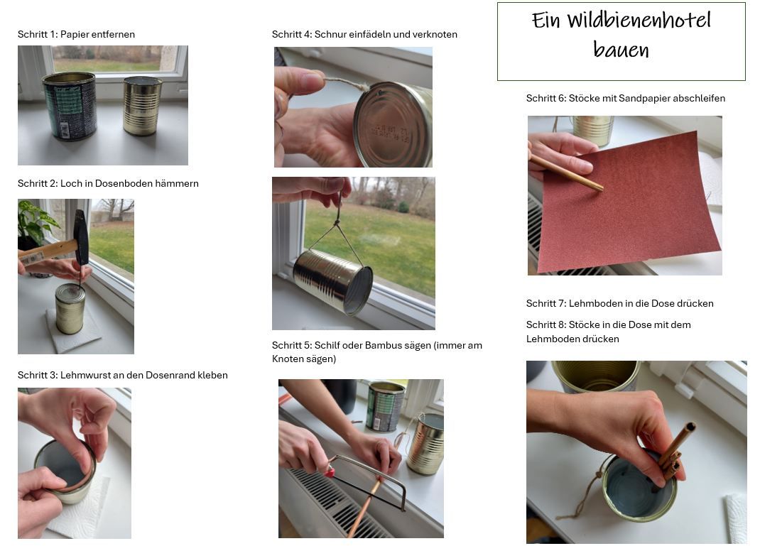 Wildnbiene Anleitung